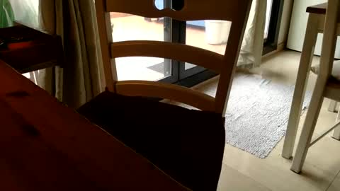 Fabro online show from March 2025 03:13:02 PM