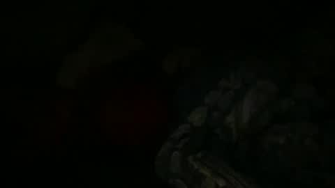 FABX online show from January 2025 09:22:01 PM