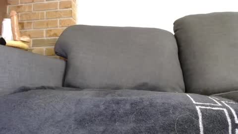 Snapshot of fafnir1278 chatting on January 2025 06:10:01 AM fafnir1278 online show from January 2025 06:10:01 AM