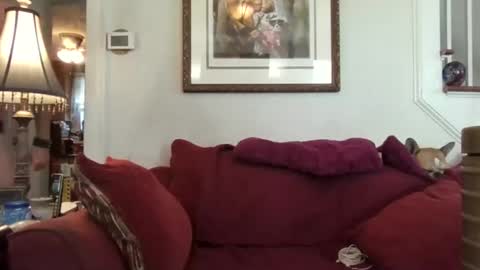 Snapshot of fairmount31 chatting on October 2025 01:56:02 PM fairmount31 online show from October 2025 01:56:02 PM