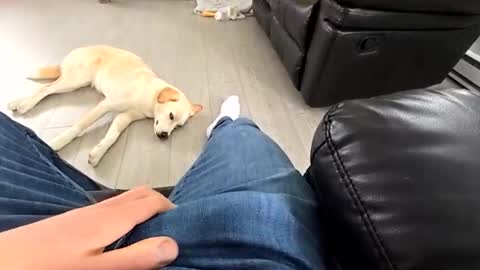 faker1414 online show from March 2026 03:49:02 PM