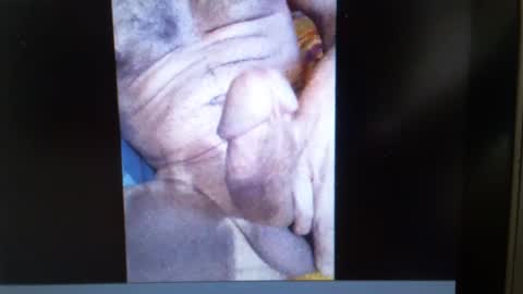 falushp online show from January 2025 09:50:02 AM