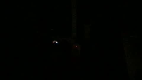 fantasticdeee online show from January 2025 03:20:02 AM