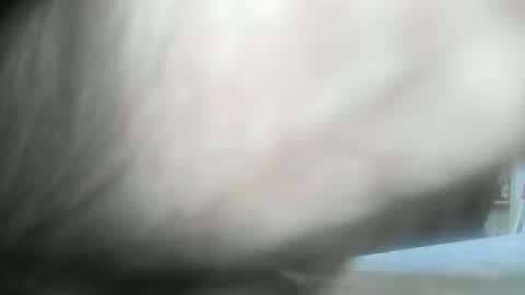 feardubh online show from January 2025 09:34:01 AM