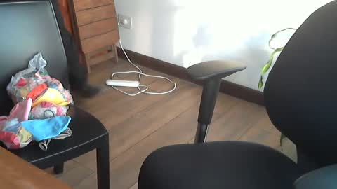 Snapshot of fedeglobos chatting on September 2025 09:05:02 PM fedeGLOBOS online show from September 2025 09:05:02 PM