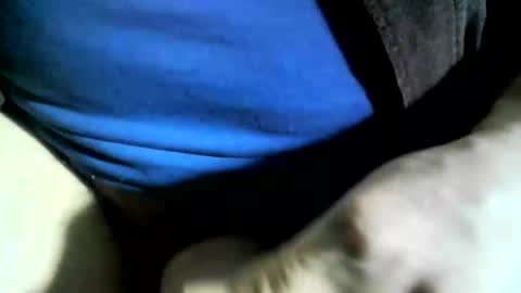 Snapshot of felicaste chatting on January 2025 06:04:01 PM felicaste online show from January 2025 06:04:01 PM