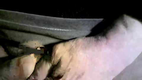 Snapshot of felicaste chatting on February 2025 04:20:01 AM felicaste online show from February 2025 04:20:01 AM