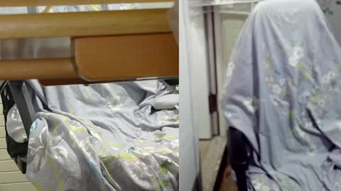 Snapshot of felixlau chatting on December 2024 11:50:02 AM felixlau online show from December 2024 11:50:02 AM