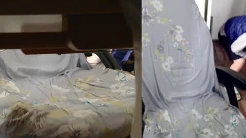 Snapshot of felixlau chatting on January 2025 07:42:01 AM felixlau online show from January 2025 07:42:01 AM