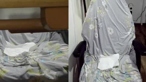 Snapshot of felixlau chatting on January 2025 12:06:02 PM felixlau online show from January 2025 12:06:02 PM