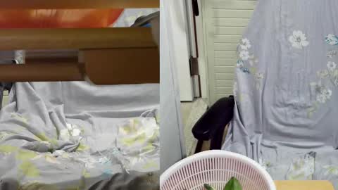 Snapshot of felixlau chatting on February 2025 11:55:01 AM felixlau online show from February 2025 11:55:01 AM