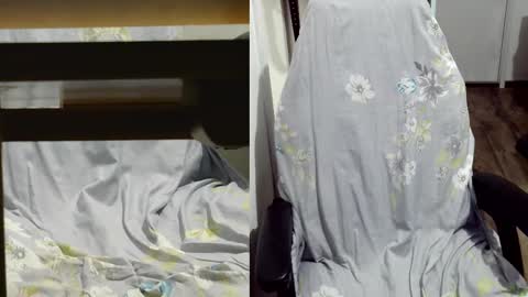 Snapshot of felixlau chatting on March 2025 10:41:02 AM felixlau online show from March 2025 10:41:02 AM