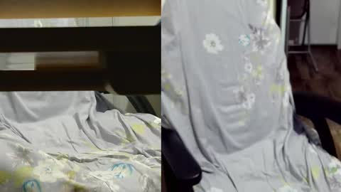 Snapshot of felixlau chatting on March 2025 01:48:01 PM felixlau online show from March 2025 01:48:01 PM