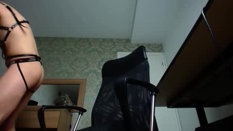 Snapshot of felixstark chatting on October 2025 04:13:01 AM FelixStark online show from October 2025 04:13:01 AM