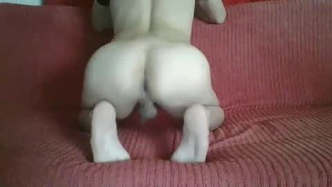 femboyhot28 online show from November 2025 03:05:01 AM