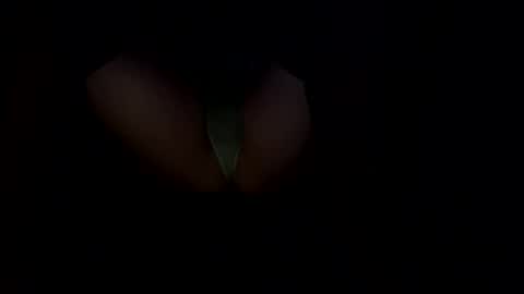 Snapshot of femboywannabe chatting on December 2024 01:45:01 PM ElaraJean online show from December 2024 01:45:01 PM