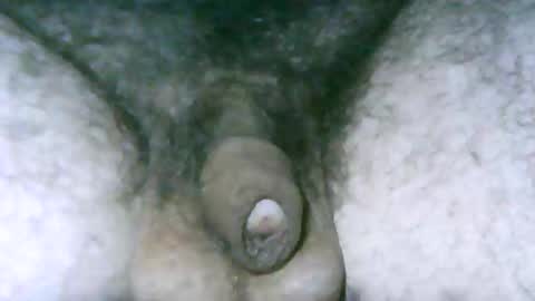 fer_2197 online show from April 2026 11:22:02 AM