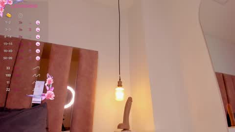 Snapshot of fer_luu chatting on December 2024 11:22:01 AM Fernanda Luna online show from December 2024 11:22:01 AM