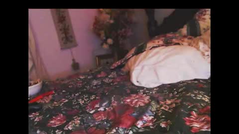 ferra_testarossa online show from November 2025 03:17:01 AM