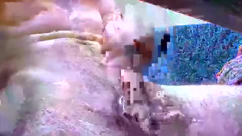 Snapshot of fetish_bigballs chatting on November 2025 08:25:01 AM fetish_bigballs online show from November 2025 08:25:01 AM