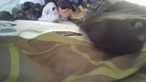 Snapshot of fetishfriendly6969 chatting on December 2024 03:43:01 PM fetishfriendly6969 online show from December 2024 03:43:01 PM