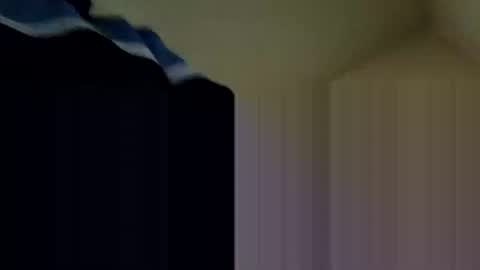 Snapshot of fffjj021 chatting on February 2025 08:22:01 PM Raised in 90s online show from February 2025 08:22:01 PM