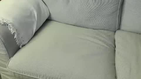 Fid online show from March 2026 09:32:02 PM