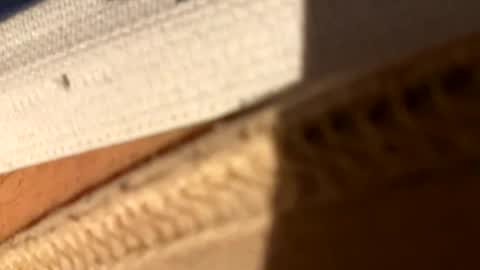 Fiksok online show from April 2026 01:00:01 AM