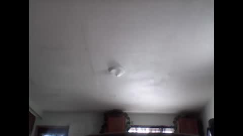 Brad online show from November 2025 08:01:01 PM