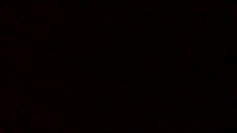 fishing41 online show from January 2025 12:05:01 PM