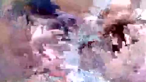 fishon13 online show from April 2026 01:38:01 AM