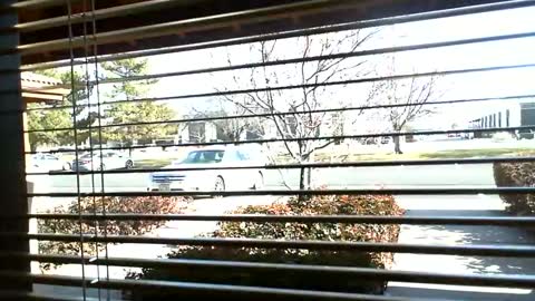 Snapshot of fit_hung_sub chatting on January 2025 07:08:01 PM pain slut daren online show from January 2025 07:08:01 PM