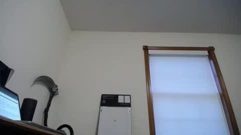  Links in Bio below online show from November 2025 12:48:01 PM