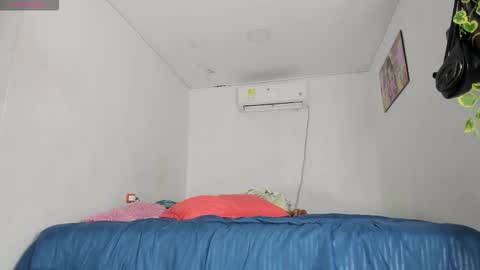    online show from November 2025 03:06:02 AM