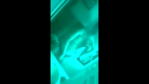 Snapshot of floridaloverboy88 chatting on September 2025 05:29:02 PM floridaloverboy88 online show from September 2025 05:29:02 PM