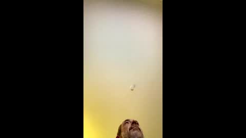 ANKI online show from November 2025 05:06:01 AM