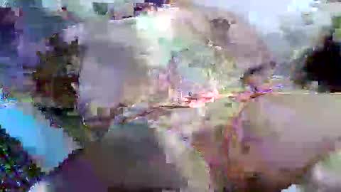 flufferbutt2 online show from April 2026 05:13:01 AM