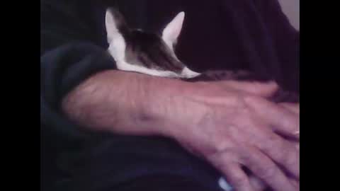 Hooz2no online show from October 2025 12:53:01 AM