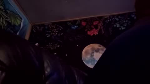 Snapshot of forgottenyeti chatting on December 2025 12:54:01 PM forgottenyeti online show from December 2025 12:54:01 PM