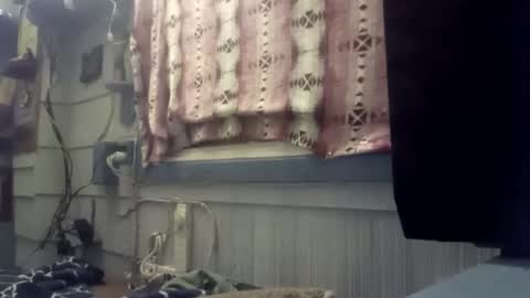 Snapshot of foxbodydave chatting on November 2025 02:50:01 PM foxbodydave online show from November 2025 02:50:01 PM