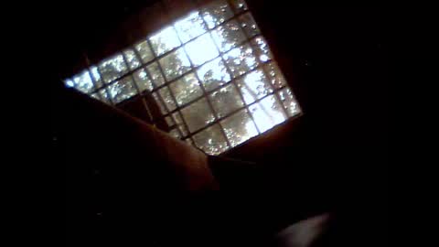 fra  71 online show from February 2026 06:17:01 AM