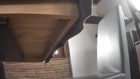 fra  71 online show from April 2026 02:25:02 PM