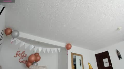 Snapshot of fraiderbrown chatting on February 2025 04:47:02 PM IM FRAIDER online show from February 2025 04:47:02 PM