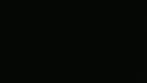 Francesca online show from November 2025 06:29:01 PM