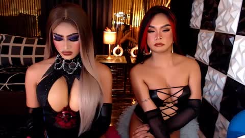 Stella Perkins online show from April 2026 10:03:02 PM