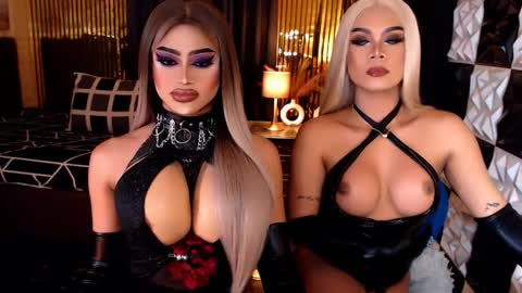 Stella Perkins online show from April 2026 09:14:01 AM