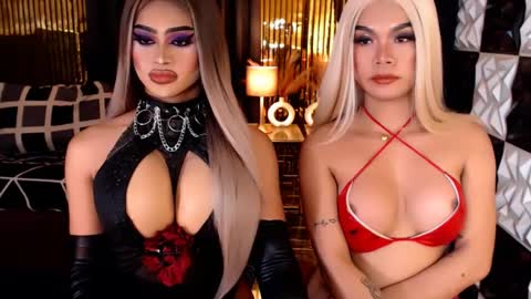 Stella Perkins online show from April 2026 09:20:02 PM