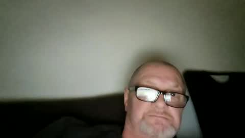 Wolfi online show from February 2026 08:12:01 AM