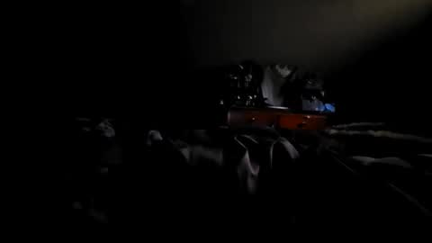fred online show from October 2025 02:29:02 PM