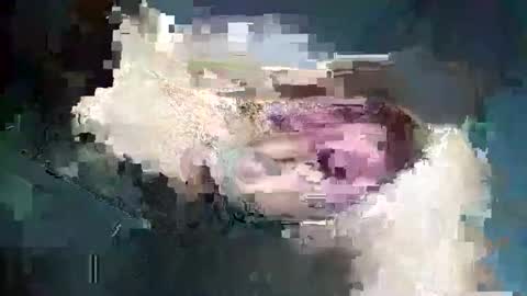 fredddy05 online show from November 2025 05:51:02 AM